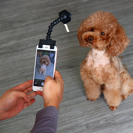 Palo de selfie para mascotas