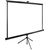  Экран Cactus 150x200см TriExpert CS-PSTE-200x150-BK 4:3 напольный рулонный черный 