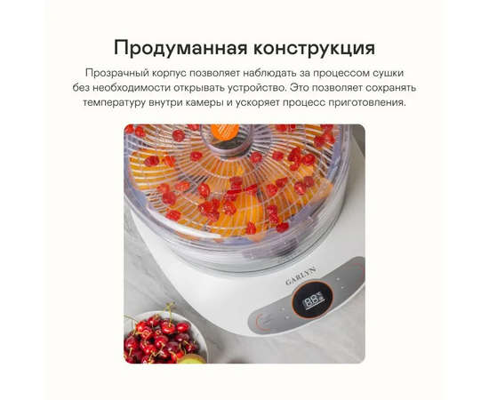  Сушилка GARLYN D-05 Pro 