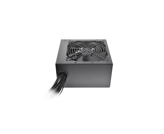  Блок питания Thermaltake TR2 S 550 (PS-TRS-0550NNSAWE-2) 
